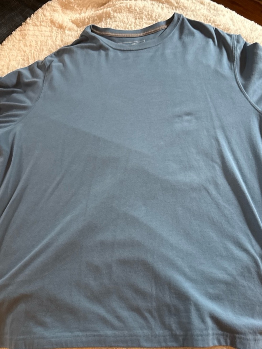 Eddie Bauer Men's Crew Neck T-Shirt in Sky Blue